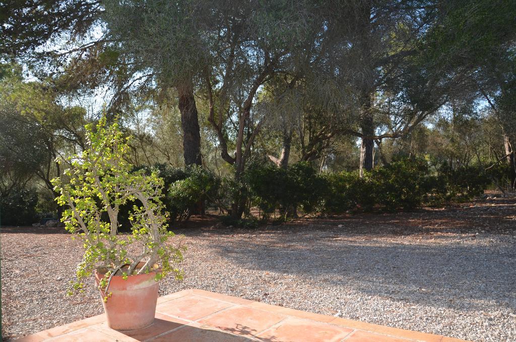 Finca Son Blat Porto Cristo Ngoại thất bức ảnh